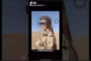 阿拉善爆料视频,真实事件背后的惊人真相