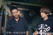 吴京在线观看,探寻动作电影背后的硬汉人生