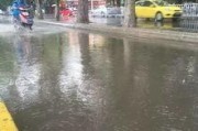 一场大雨爆料视频大全最新,最新爆料视频大全精彩呈现